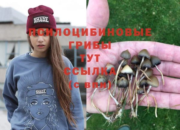 PSILOCYBIN Алексеевка