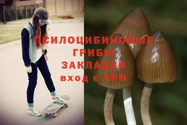 a pvp Абаза