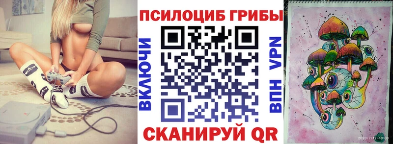 Псилоцибиновые грибы Psilocybe  Хадыженск 